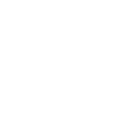 Train icon